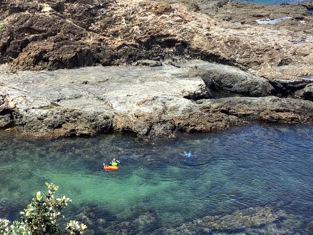 Chasing George Villa Port Macquarie Eksteriør bilde